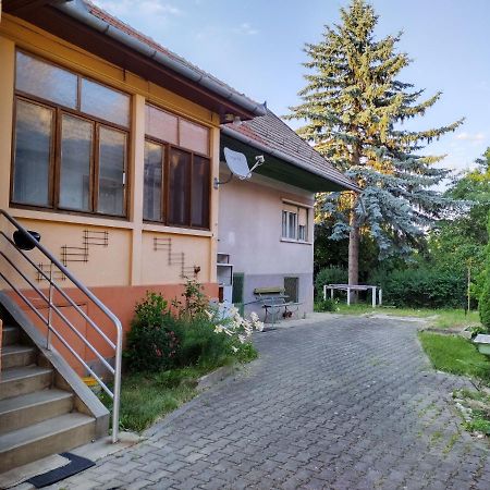 Апартаменти Zadora Haus Сачеле Екстер'єр фото